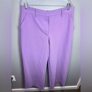 Abercrombie & Fitch Sloane‎ Purple Tailored Ultra-Wide Leg Pants Size Large
